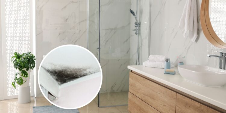 Esses 3 ingredientes simples eliminam o mofo do box de acrílico