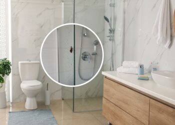 O jeito mais eficaz e natural de acabar com mosquinhas no box