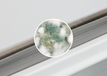 Elimine o mofo da borracha da geladeira com esses ingredientes caseiros e sem esforço