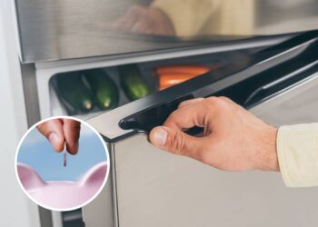 Deixe a regulagem da sua geladeira desse jeito e reduza o consumo de energia