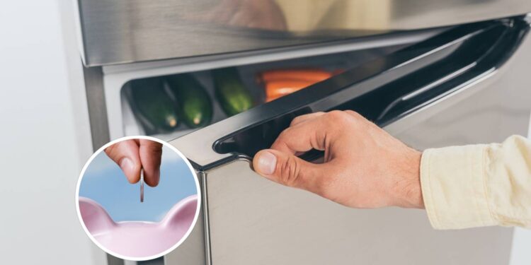 Deixe a regulagem da sua geladeira desse jeito e reduza o consumo de energia