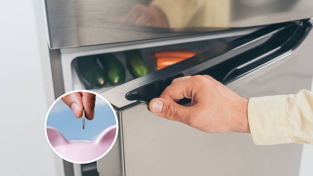 Deixe a regulagem da sua geladeira desse jeito e reduza o consumo de energia