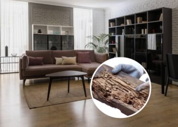 Passos essenciais para manter seus móveis livres de pragas o ano todo