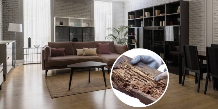 Passos essenciais para manter seus móveis livres de pragas o ano todo