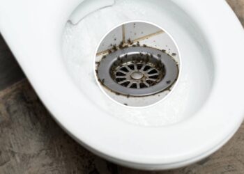 Você nunca mais vai ver mosquitinhos no vaso depois desse truque