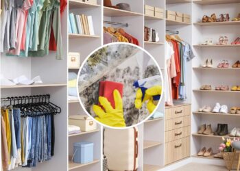 Truque caseiro com ingredientes que você já tem em casa previne o mofo no interior do armário