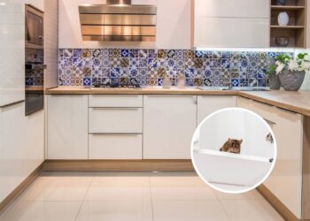 Truques que realmente funcionam para manter os ratos longe da cozinha