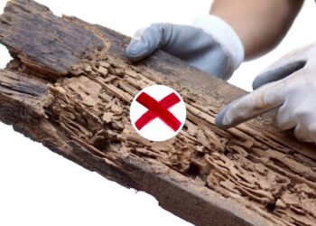 Mistura natural para eliminar cupins sem estragar a madeira