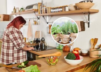 Plantas para cultivar em cozinhas e usar em receitas saudáveis