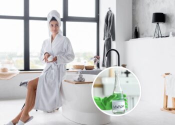 Truque simples com vinagre elimina o cheiro e afasta insetos do banheiro