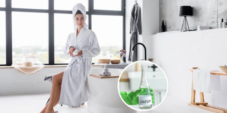 Truque simples com vinagre elimina o cheiro e afasta insetos do banheiro
