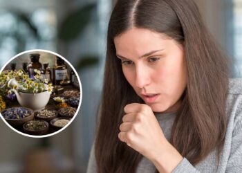 Ervas para aliviar a bronquite e melhorar a respiração