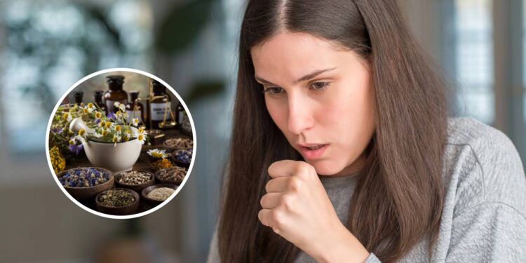 Ervas para aliviar a bronquite e melhorar a respiração