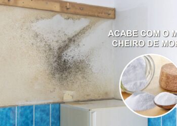Elimine o cheiro de mofo em minutos com apenas um ingrediente