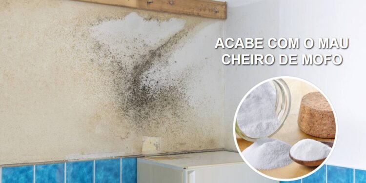 Elimine o cheiro de mofo em minutos com apenas um ingrediente
