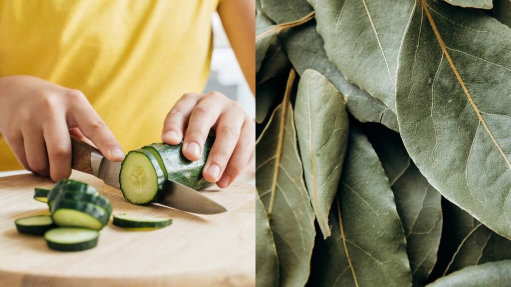 Esses dois itens da sua cozinha estão afastando baratas de casas brasileiras