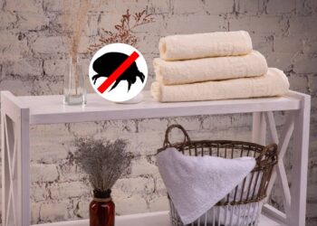 Os erros comuns que espalham ácaros em suas toalhas