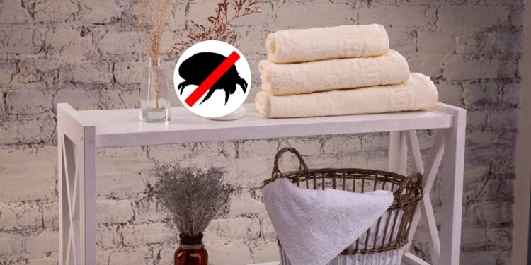 Os erros comuns que espalham ácaros em suas toalhas