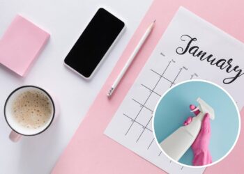 Cronograma de limpeza doméstica eficiente