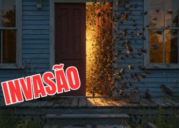 Os piores hábitos que fazem as moscas invadirem sua casa e como evitá-los