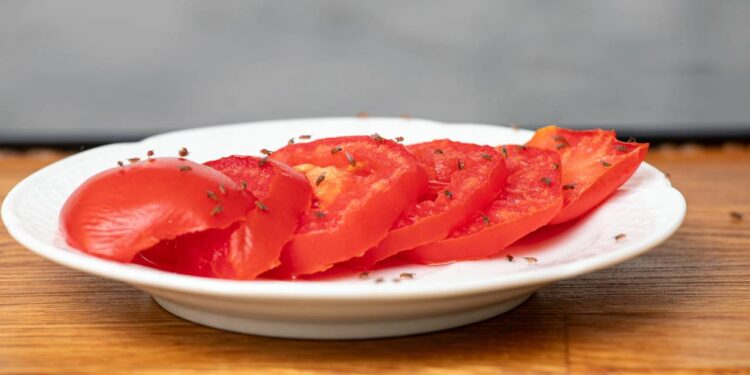 Plantas que eliminam mosquitinhos da cozinha de forma natural