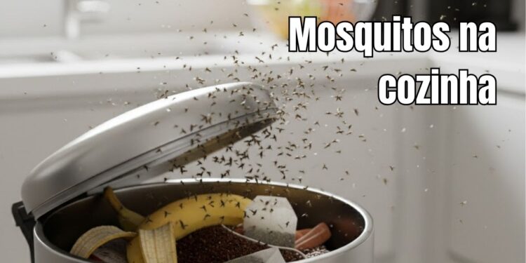 Este detalhe na lixeira pode ser o motivo dos mosquitos na cozinha