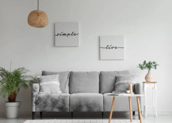 Crie uma rotina de limpeza para evitar pragas e mofo nos móveis