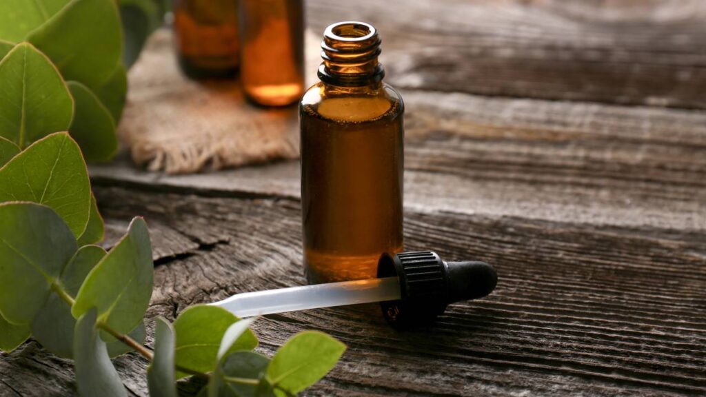 Truque com cheiro forte faz aranhas sumirem sem veneno