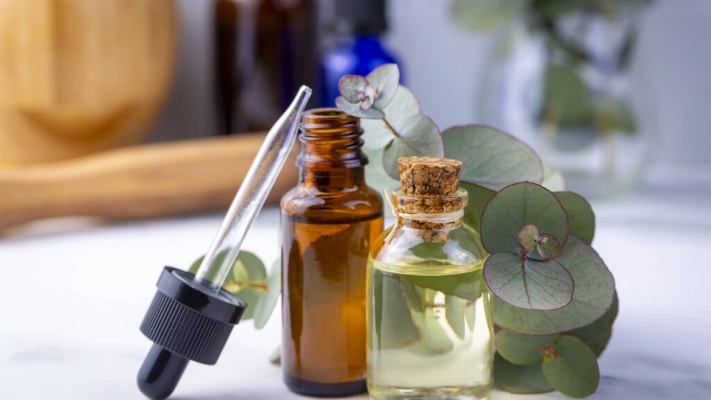 Cheiro natural que espanta ratos e ainda purifica o ar