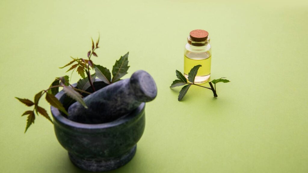 Mistura natural para eliminar cupins sem estragar a madeira