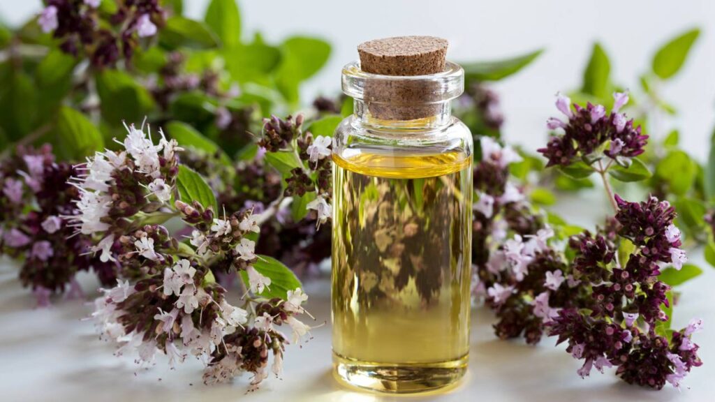 Este truque com ervas aromáticas mantém baratas longe dos eletrodomésticos