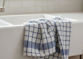 Como manter os panos de prato livres de mofo e insetos