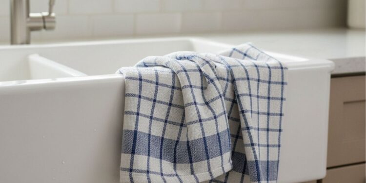 Como manter os panos de prato livres de mofo e insetos