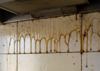 Nem detergente, nem esponja: esse truque limpa paredes engorduradas sem esforço