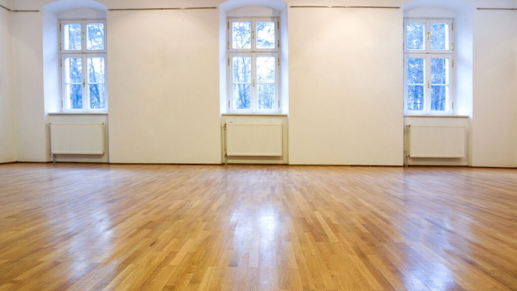 Tem lagartixa na sua parede? O motivo pode te surpreender