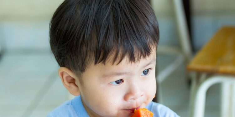 Esta fruta é um dos alimentos mais completos para a saúde