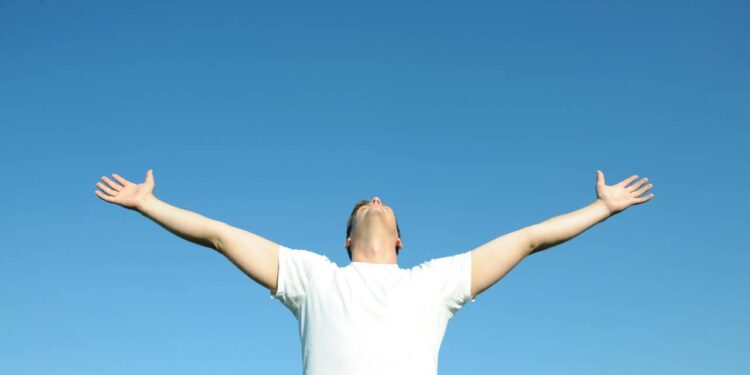 A erva perfumada que ajuda a aliviar a tensão e clarear a mente