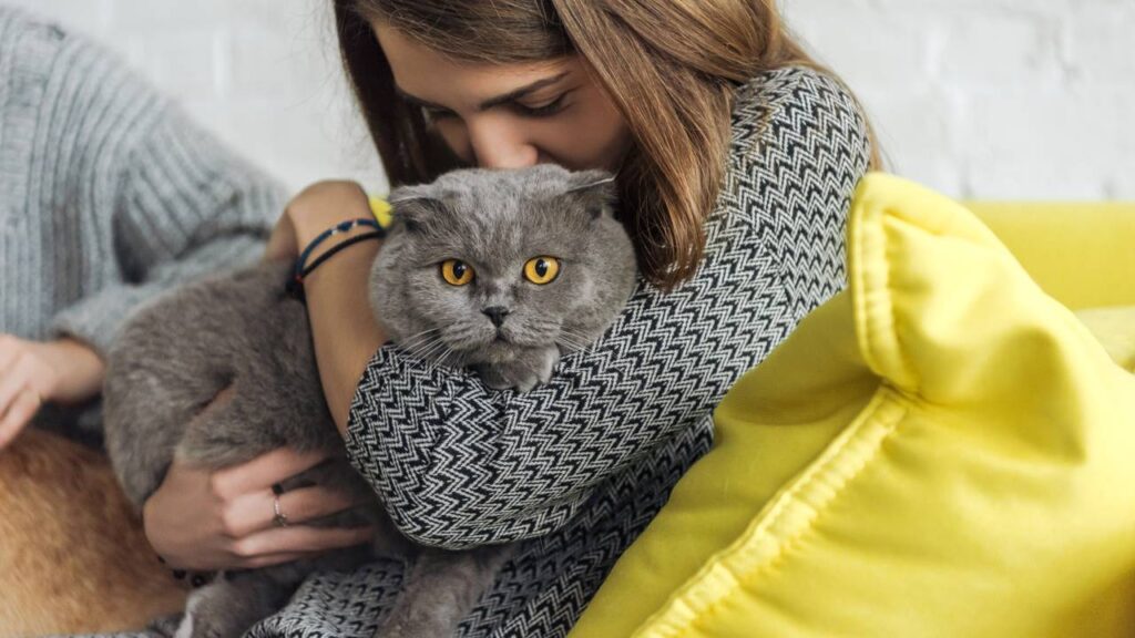 A escolha do seu pet de estimação pode dizer muito sobre você