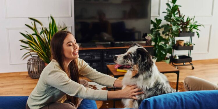 Seguir o dono é um comportamento comum em cães e geralmente ligado a vínculo e aprendizado
