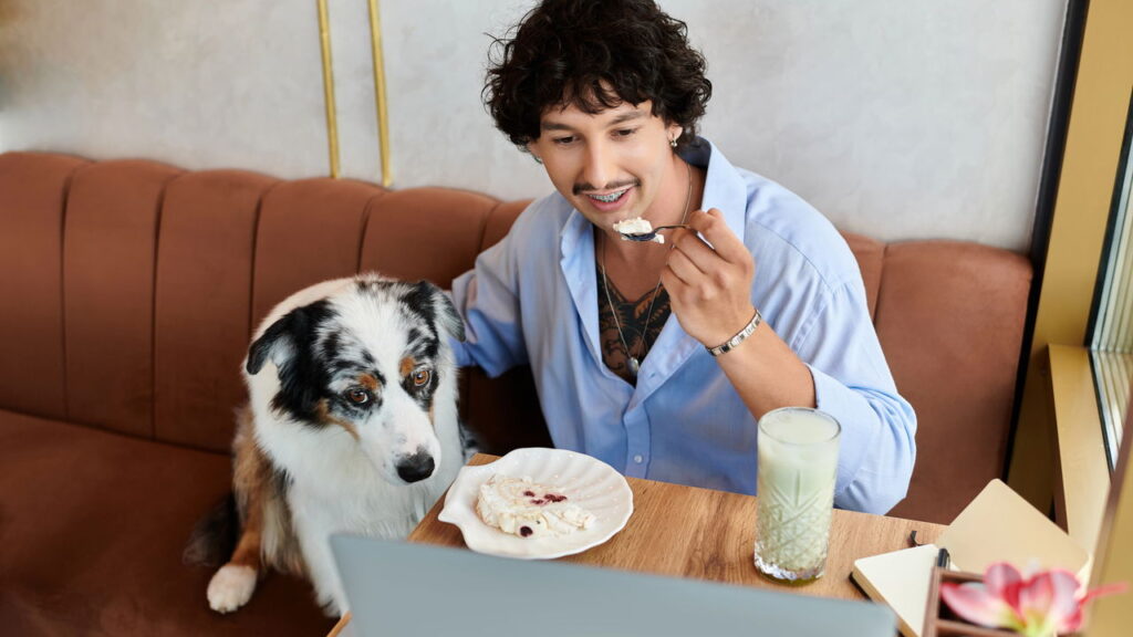 Entenda o significado de comportamentos caninos como patinha apoiada e bocejos fora de hora
