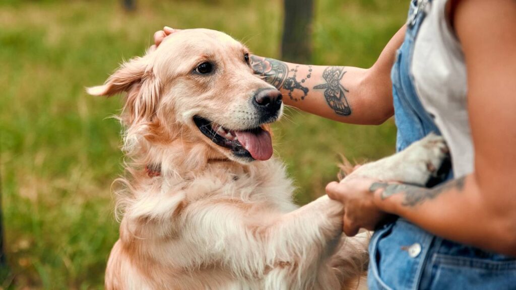 Nomes únicos para pets fortalecem a conexão com seu companheiro