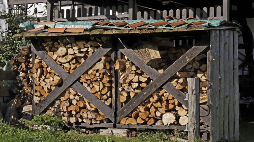 Estes materiais no quintal trazem escorpiões para sua casa
