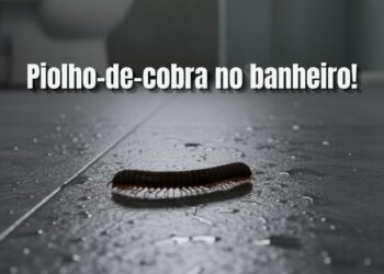 Como afastar o piolho-de-cobra do banheiro de casa