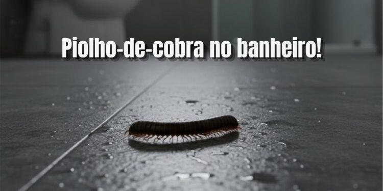 Como afastar o piolho-de-cobra do banheiro de casa