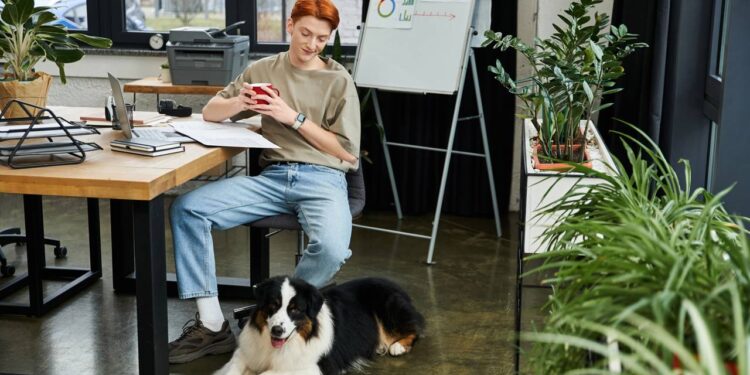 Plantas que afastam energia negativa e aumentam o bem-estar