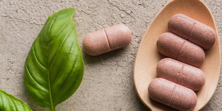 Receitas naturais que fortalecem a imunidade com chás fitoterápicos