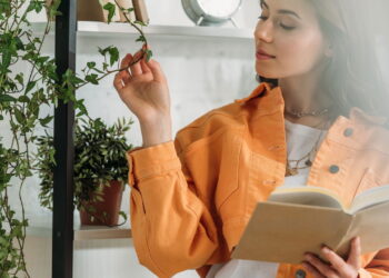 Plantas para decorar sua casa e ainda purificar o ar do ambiente