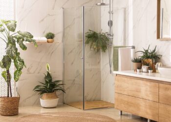 Plantas que mantêm o banheiro sempre cheiroso e livre de pragas