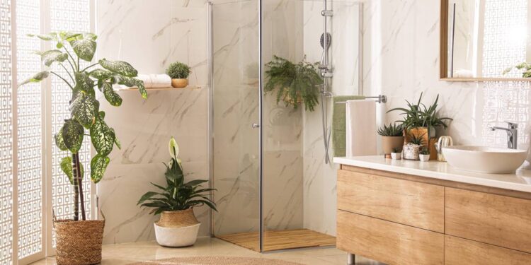 Plantas que mantêm o banheiro sempre cheiroso e livre de pragas