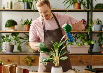 Plantas que impactam positivamente na saúde, segundo Feng Shui